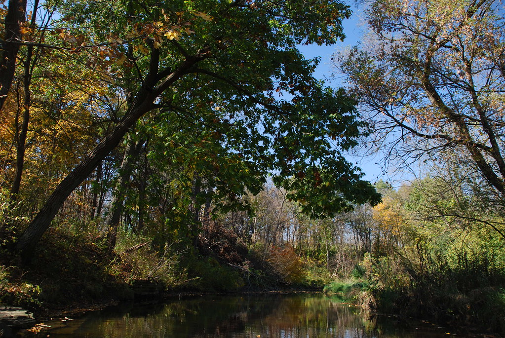 Autumn at Waterfall Glen 078