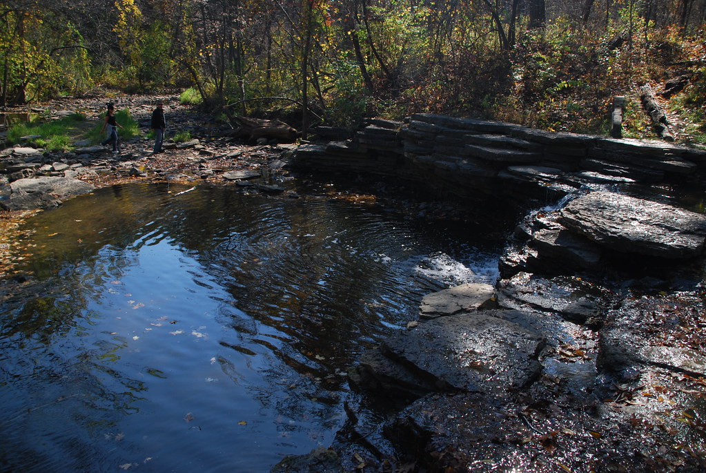 Autumn at Waterfall Glen 098