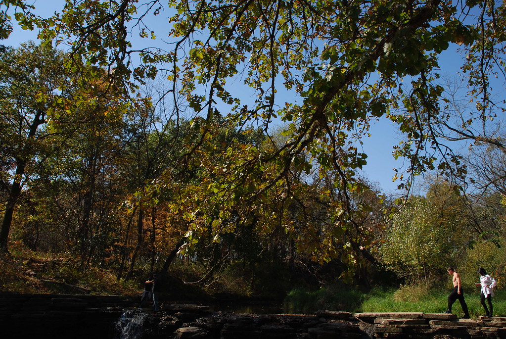 Autumn at Waterfall Glen 100
