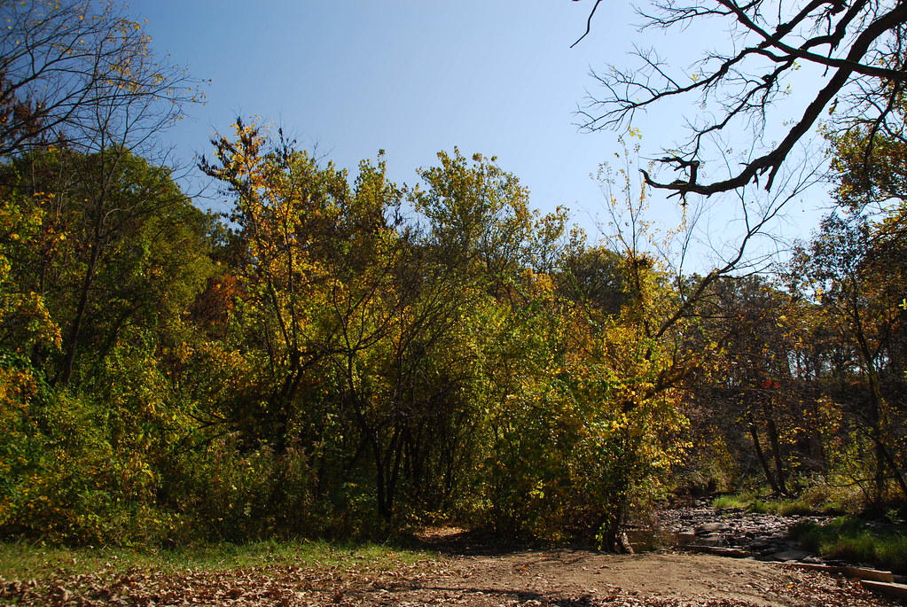 Autumn at Waterfall Glen 101