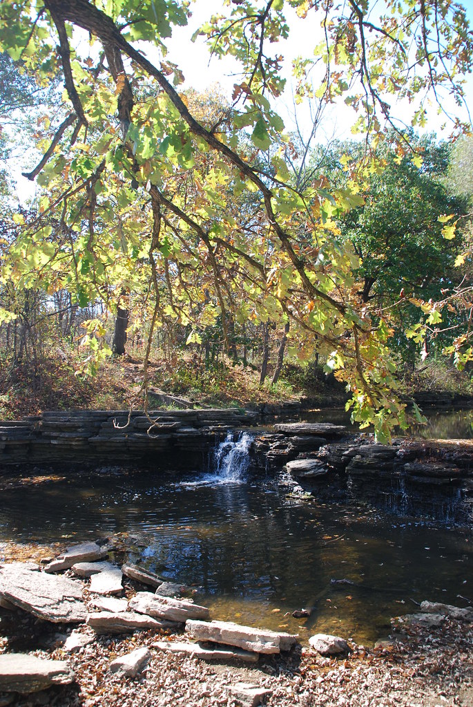 Autumn at Waterfall Glen 106