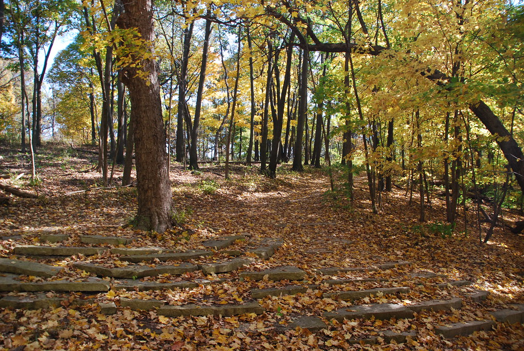 Autumn at Waterfall Glen 122