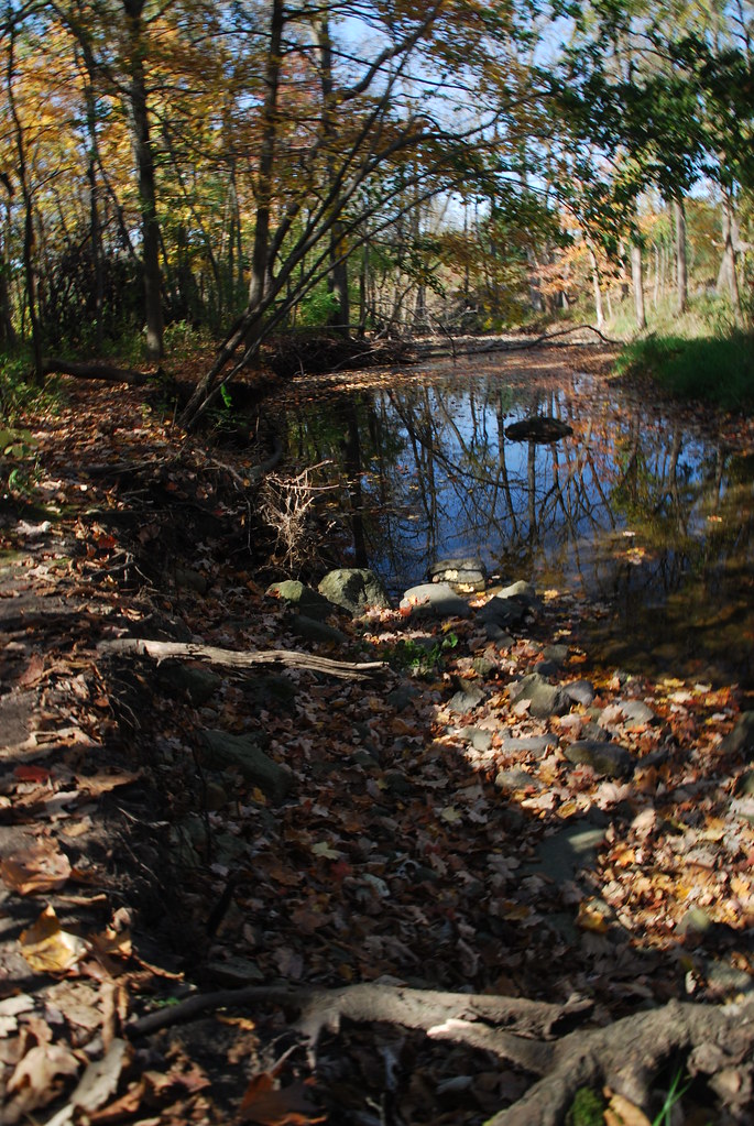 Autumn at Waterfall Glen 129