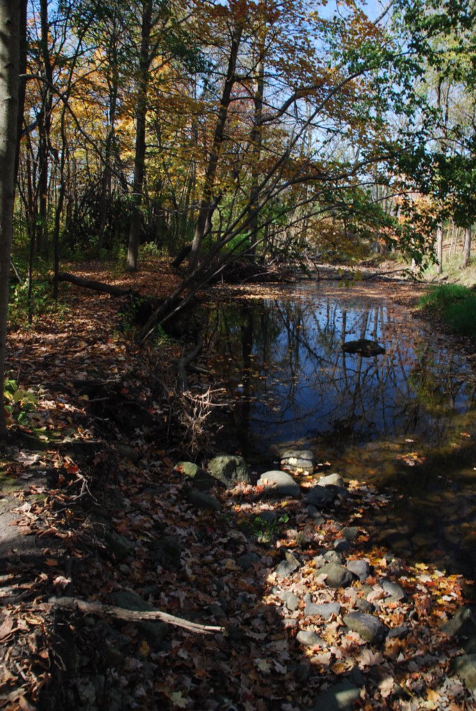 Autumn at Waterfall Glen 130