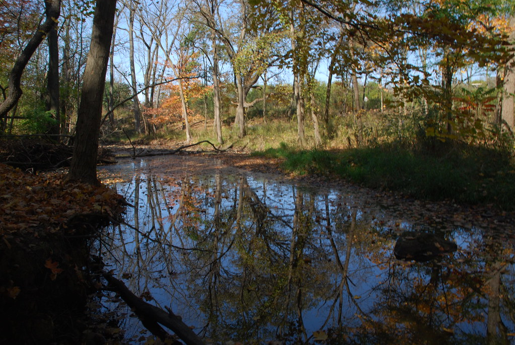 Autumn at Waterfall Glen 132