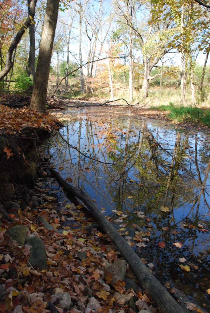 Autumn at Waterfall Glen 134