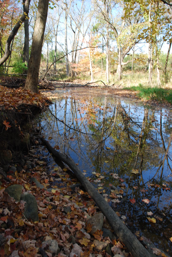 Autumn at Waterfall Glen 135