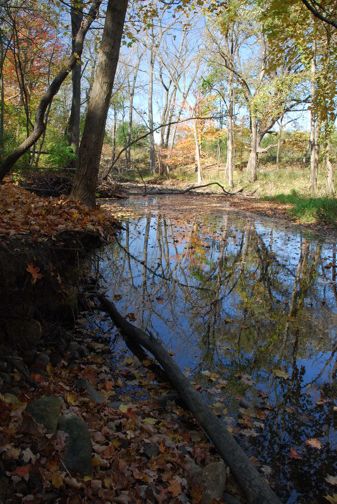 Autumn at Waterfall Glen 136