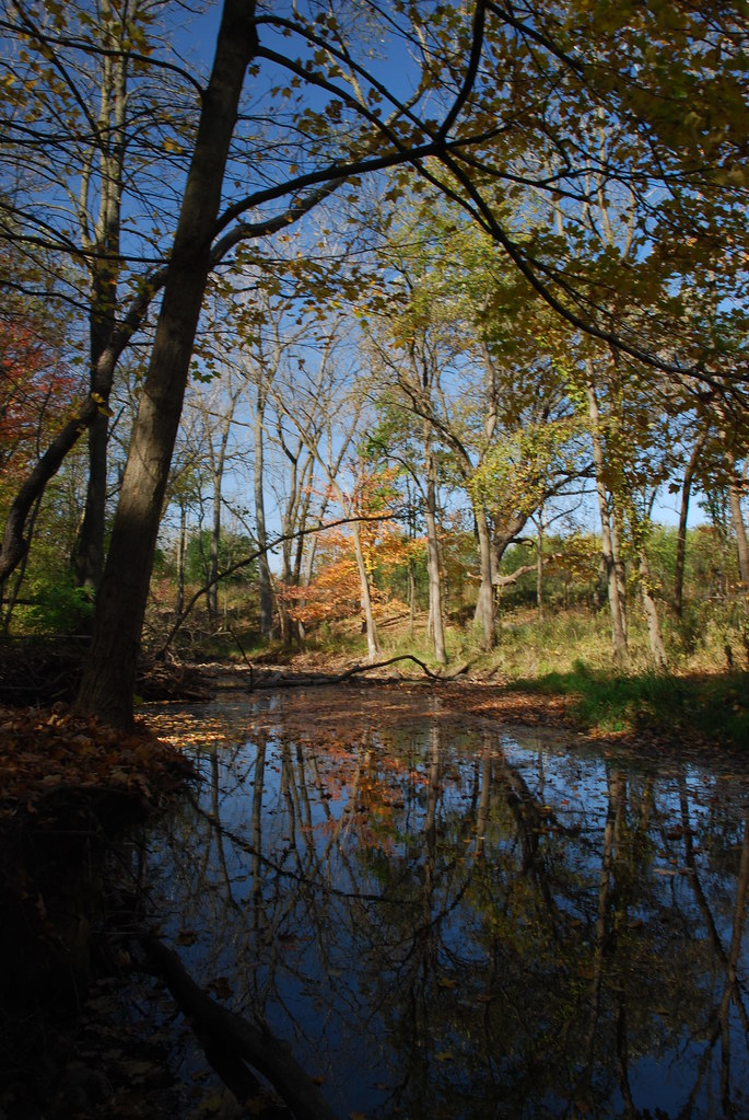 Autumn at Waterfall Glen 137