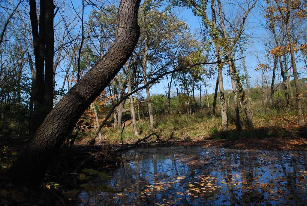 Autumn at Waterfall Glen 168