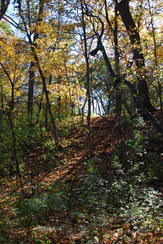 Autumn at Waterfall Glen 170
