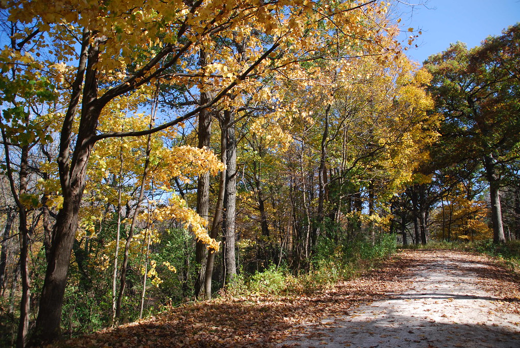 Autumn at Waterfall Glen 200