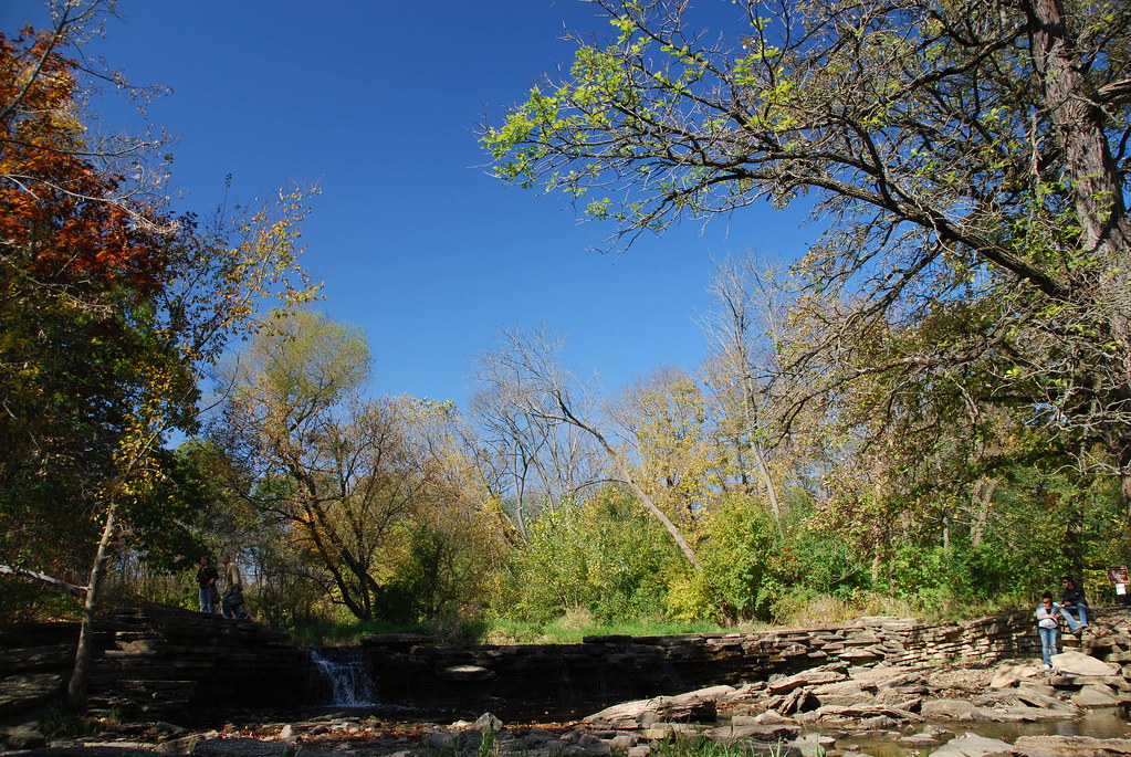 Autumn at Waterfall Glen 067
