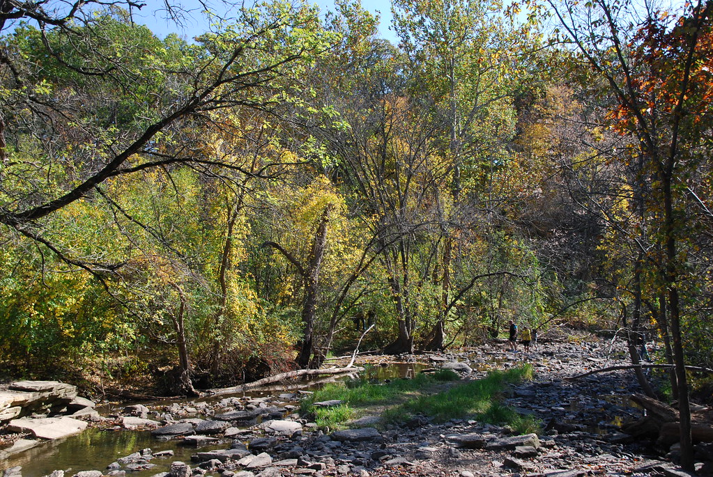Autumn at Waterfall Glen 094