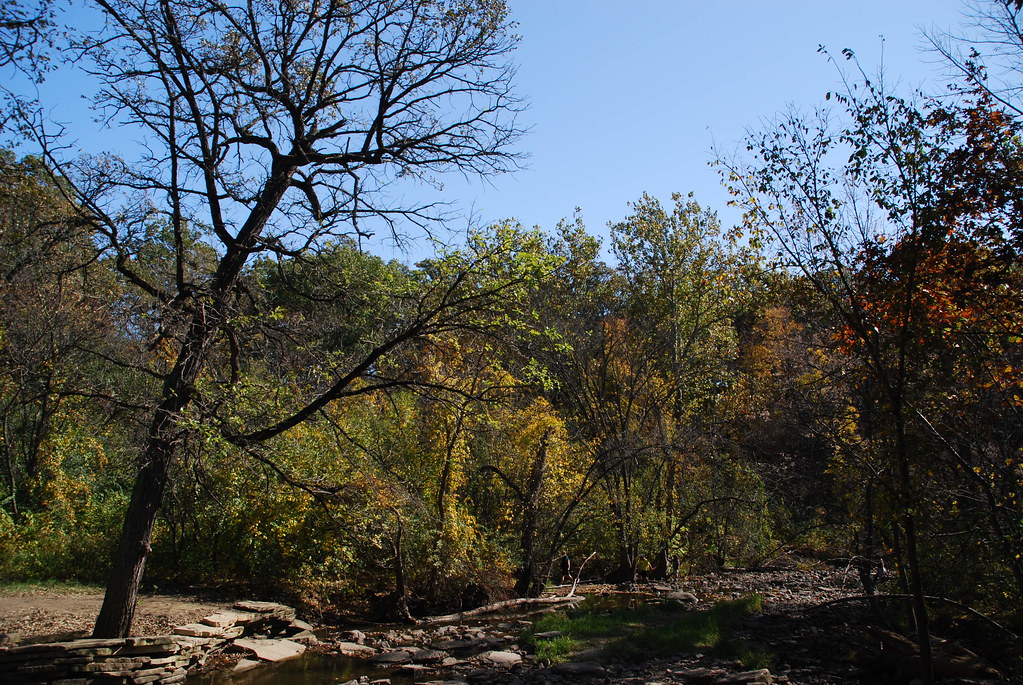Autumn at Waterfall Glen 095