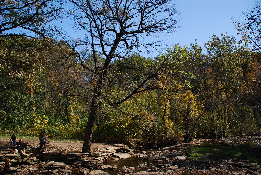 Autumn at Waterfall Glen 096