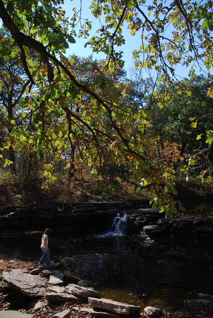 Autumn at Waterfall Glen 107