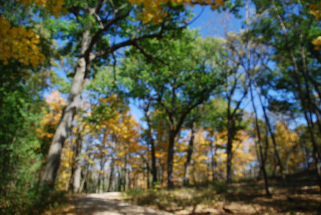 Autumn at Waterfall Glen 121