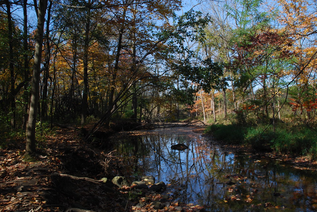 Autumn at Waterfall Glen 127
