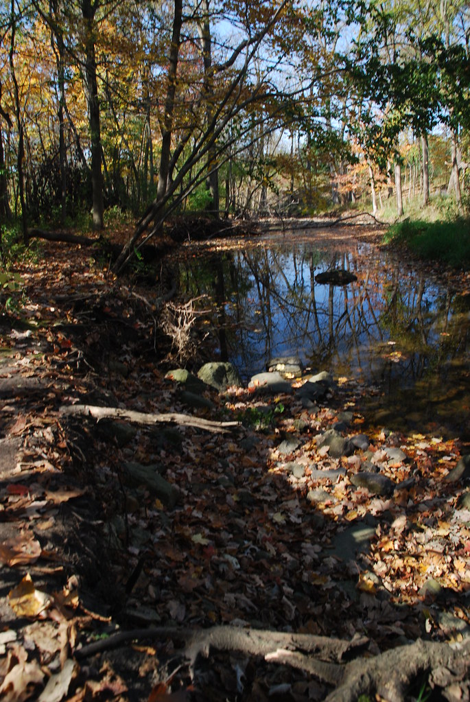 Autumn at Waterfall Glen 128