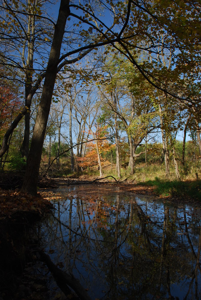 Autumn at Waterfall Glen 138