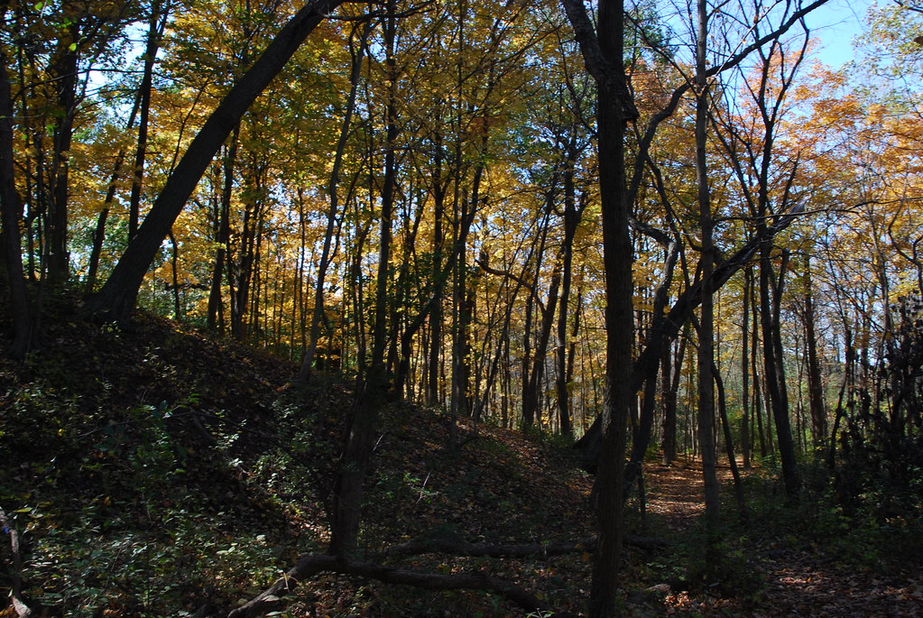 Autumn at Waterfall Glen 139