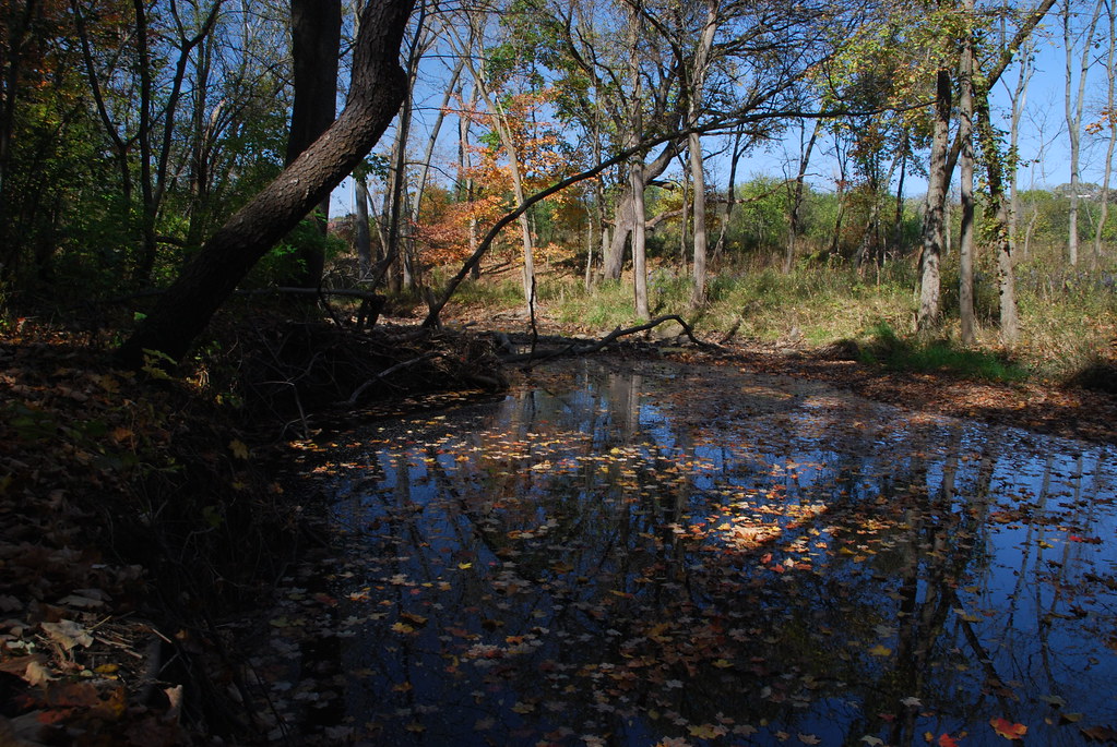 Autumn at Waterfall Glen 141
