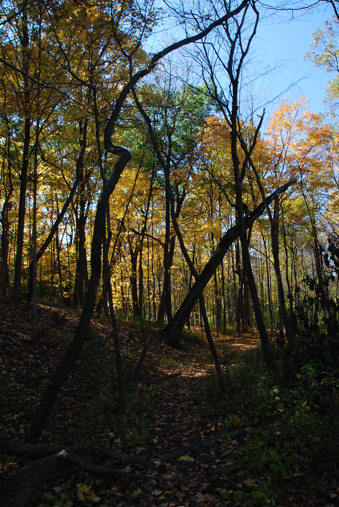 Autumn at Waterfall Glen 150