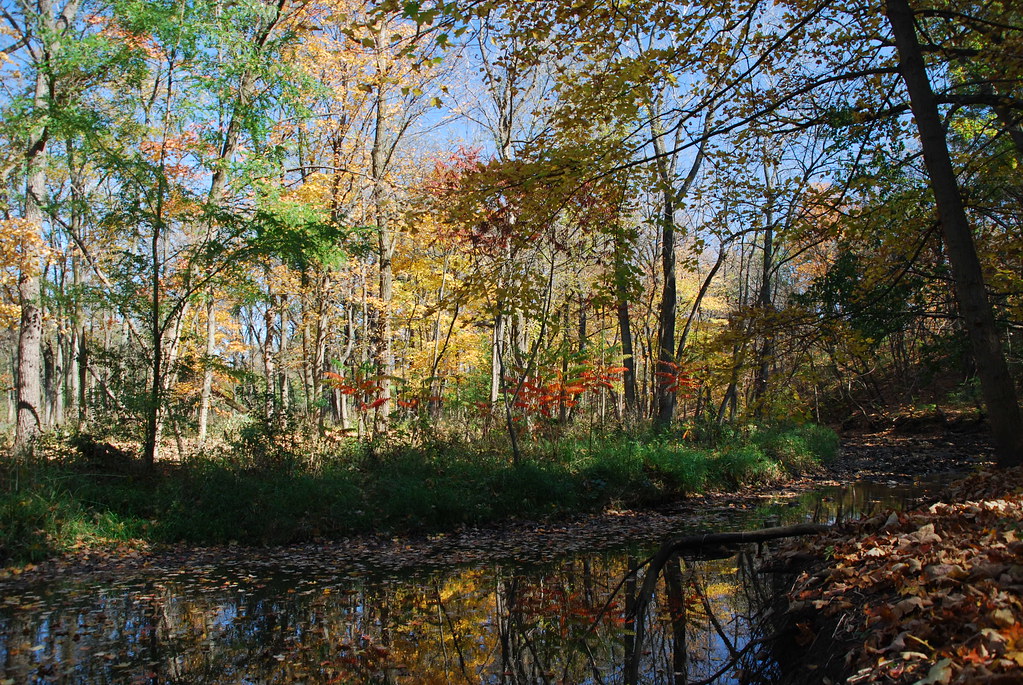 Autumn at Waterfall Glen 167