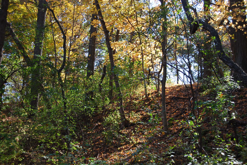 Autumn at Waterfall Glen 169