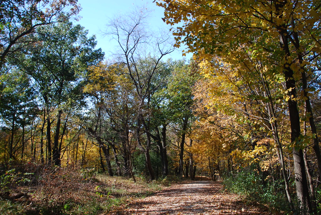 Autumn at Waterfall Glen 202