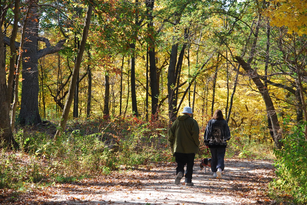Autumn at Waterfall Glen 203