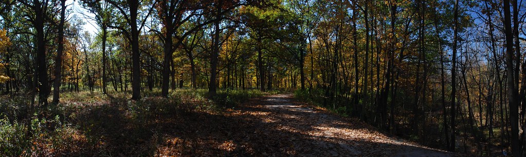 Autumn at Waterfall Glen Panoramic