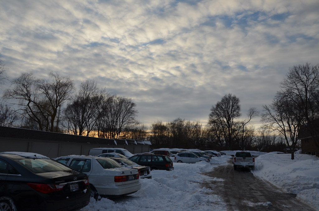 Naperville Snow Storm 010