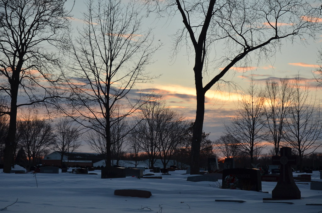 Naperville Snow Storm 023