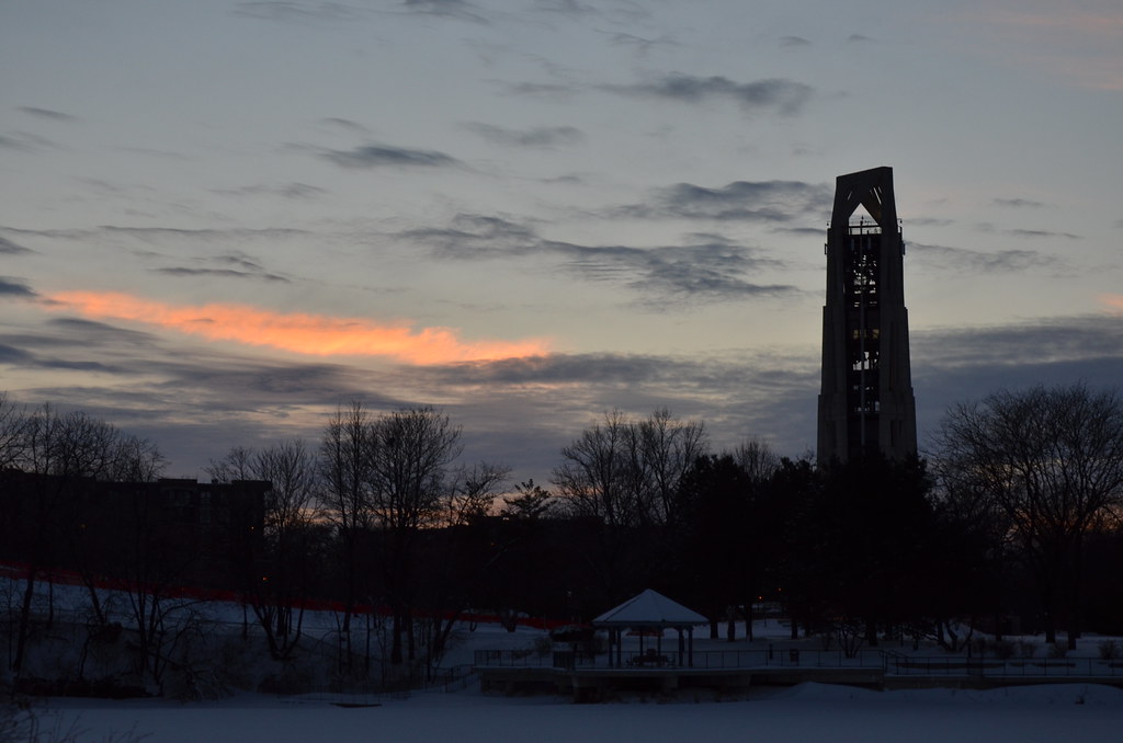 Naperville Snow Storm 037