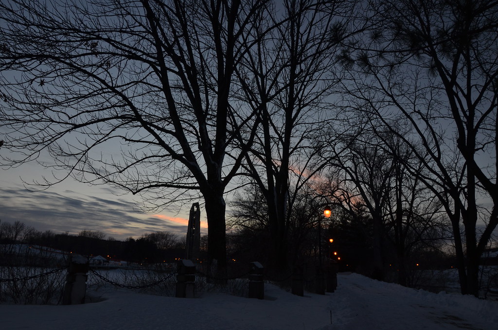 Naperville Snow Storm 055