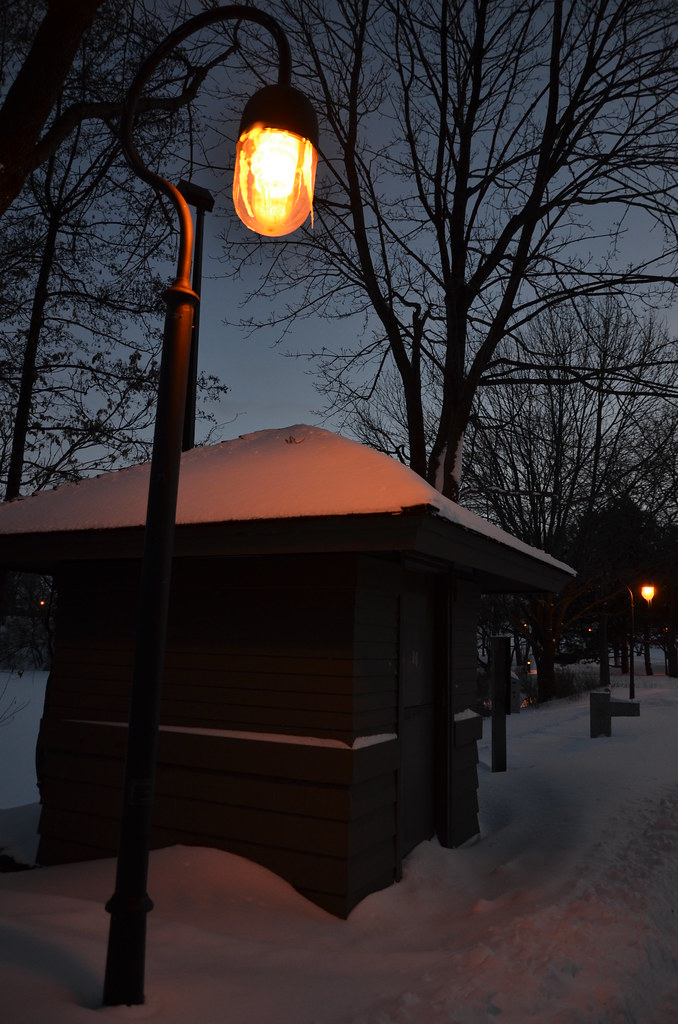 Naperville Snow Storm 071