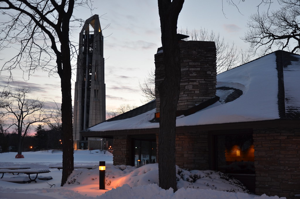 Naperville Snow Storm 073