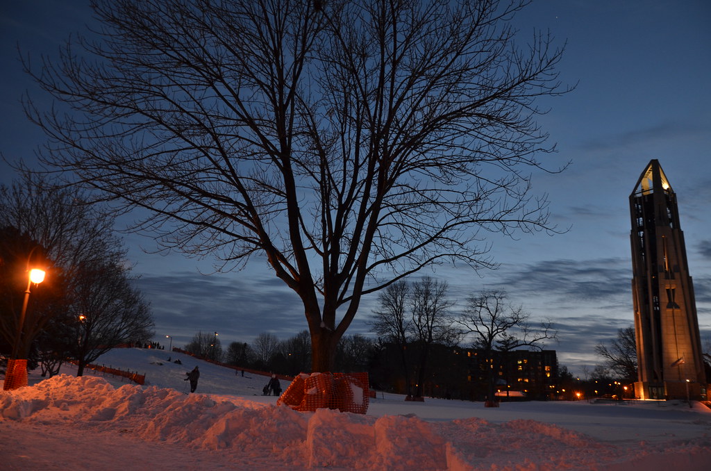 Naperville Snow Storm 246