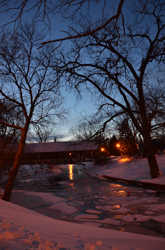Naperville Snow Storm 261