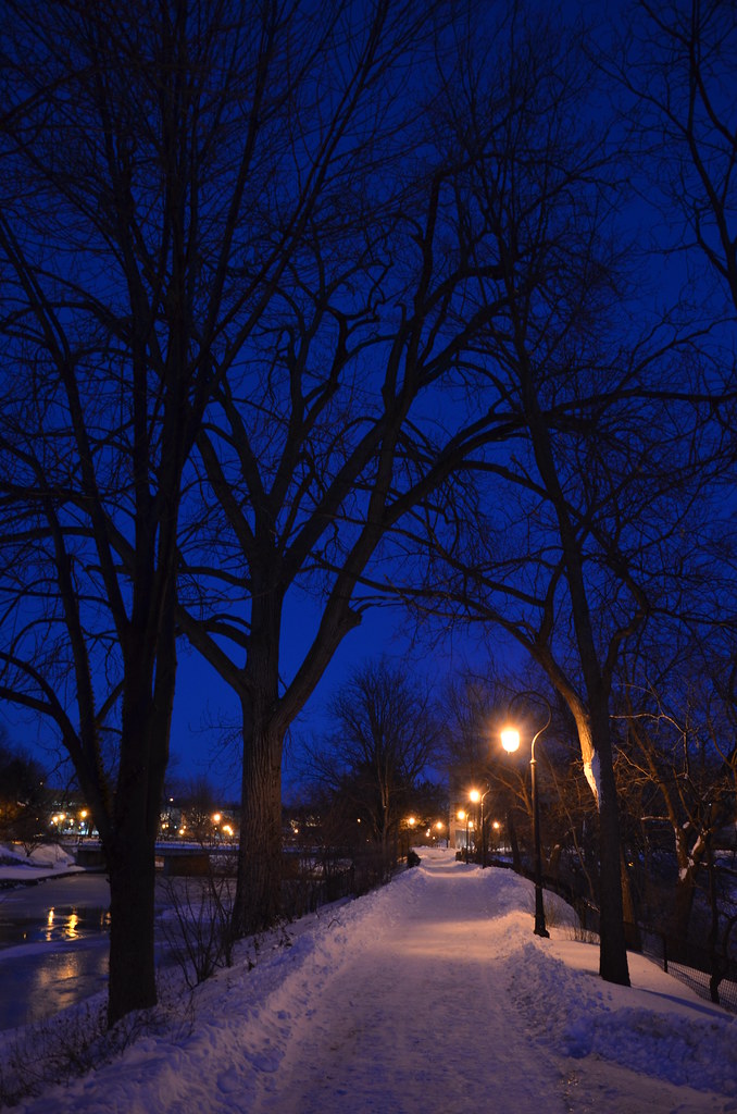 Naperville Snow Storm 267