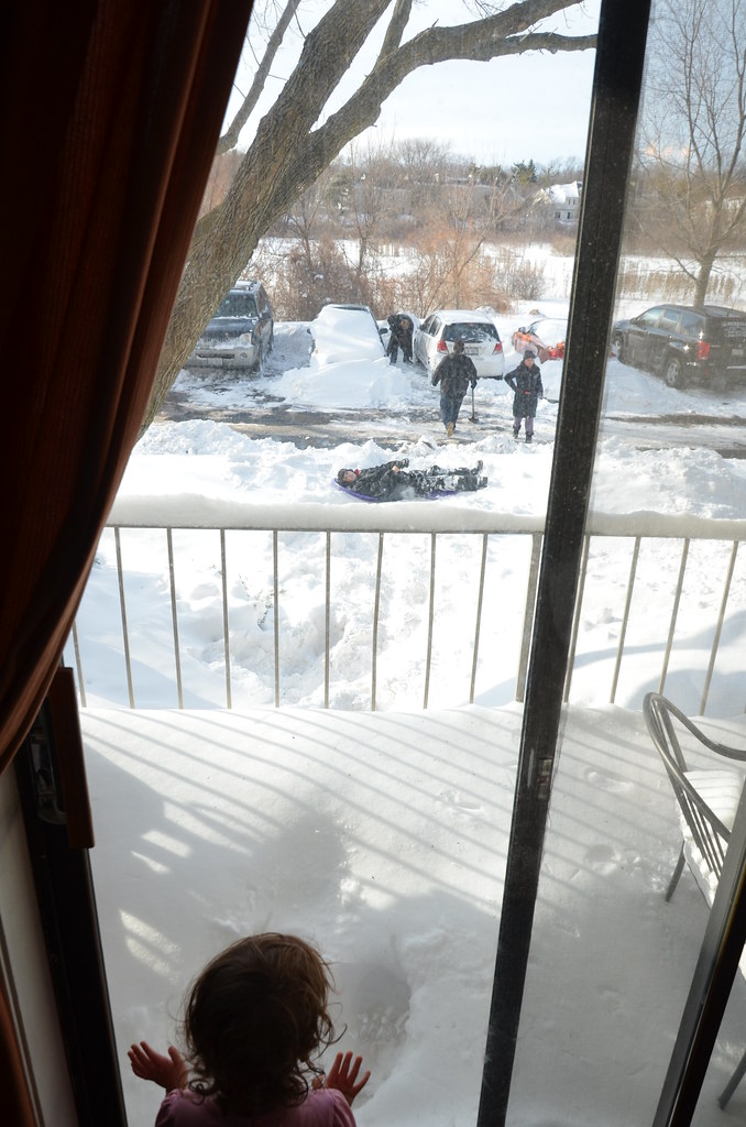 Naperville Snow Storm 003