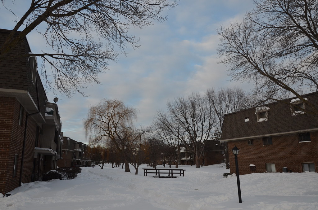 Naperville Snow Storm 007