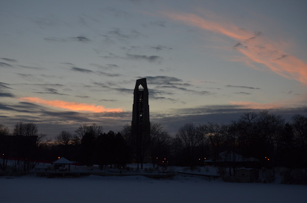 Naperville Snow Storm 049