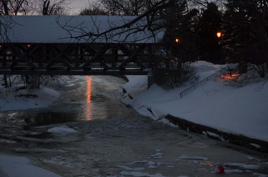 Naperville Snow Storm 068