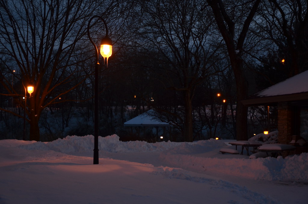 Naperville Snow Storm 144
