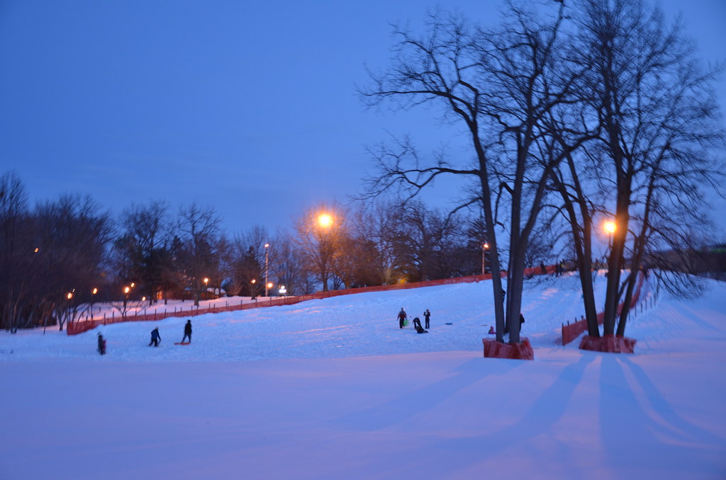 Naperville Snow Storm 217