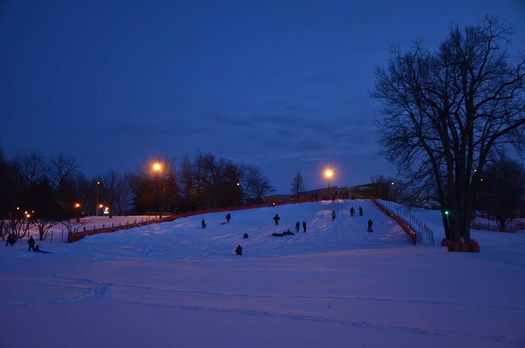 Naperville Snow Storm 224