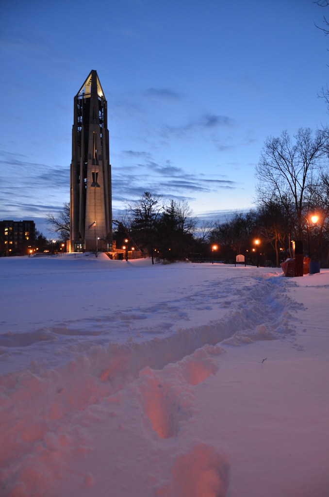 Naperville Snow Storm 229